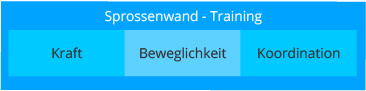 sprossenwand_übersicht_training_einsatz